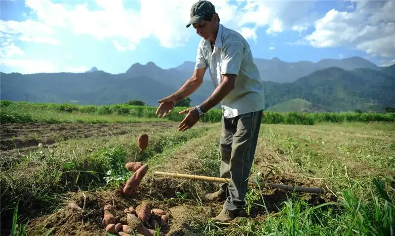 4 a cada 5 produtores rurais rejeitam políticas de esquerda