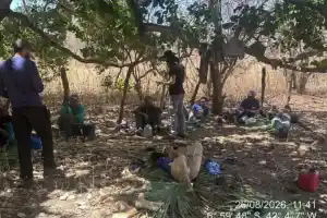 MPT resgata 40 trabalhadores em condições análogas à escravidão no Piauí