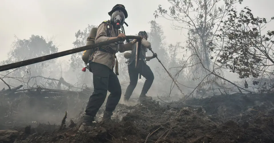Metas climáticas não foram cumpridas, diz ONU; mundo agora precisa remover carbono em larga escala