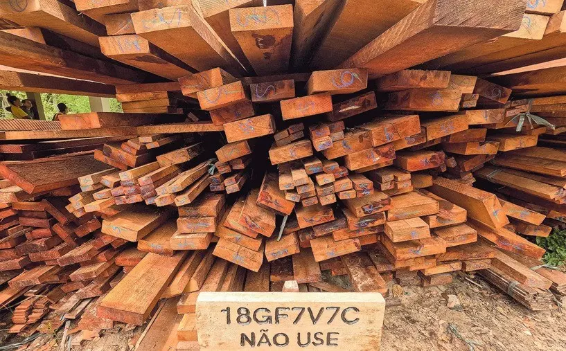 Ibama recebe apenas 3,6% do valor das multas aplicadas por infrações contra o meio ambiente