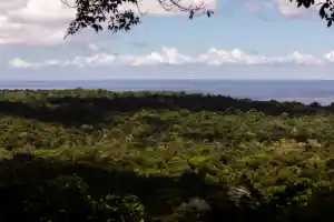 Reino Unido anuncia investimento em fundo criado pelo Brasil para proteção de florestas tropicais