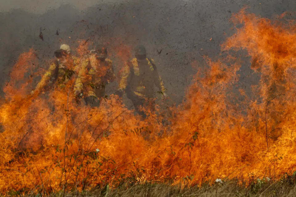 El Niño: 16 estados e o DF já encaminharam dados ao MMA para plano integrado de prevenção e combate a incêndios florestais