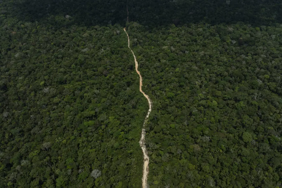 Ambientalistas e setor de infraestrutura cobram agilidade na análise da lei do licenciamento pelo STF