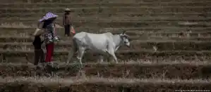 Clima e escassez alimentar elevam risco de guerras no mundo