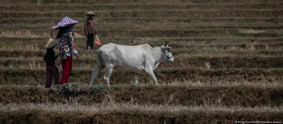Clima e escassez alimentar elevam risco de guerras no mundo