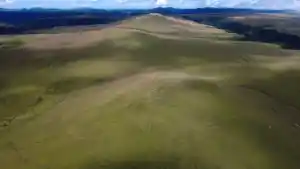 O verdadeiro tesouro escondido são os campos nativos