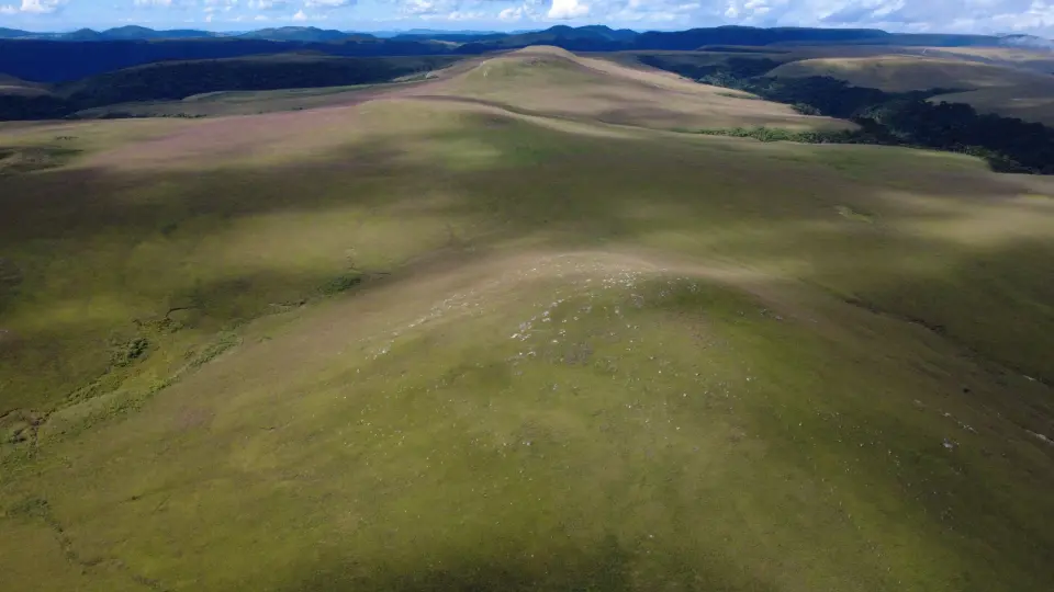 O verdadeiro tesouro escondido são os campos nativos