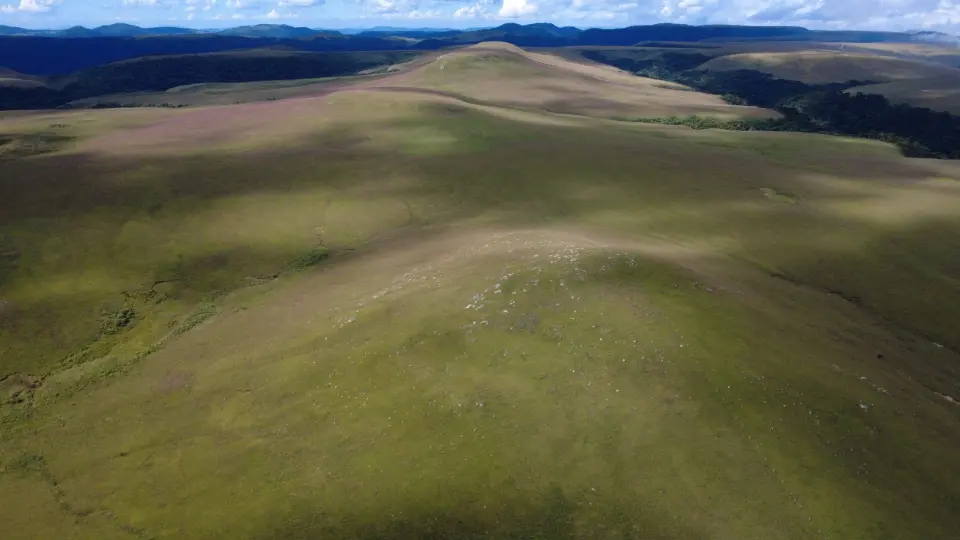 O verdadeiro tesouro escondido são os campos nativos