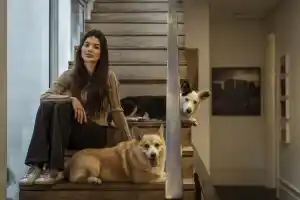 'Só vou conseguir retomar minha vida se ele continuar preso', diz Giullia Falcão, agredida por Ivo Kos