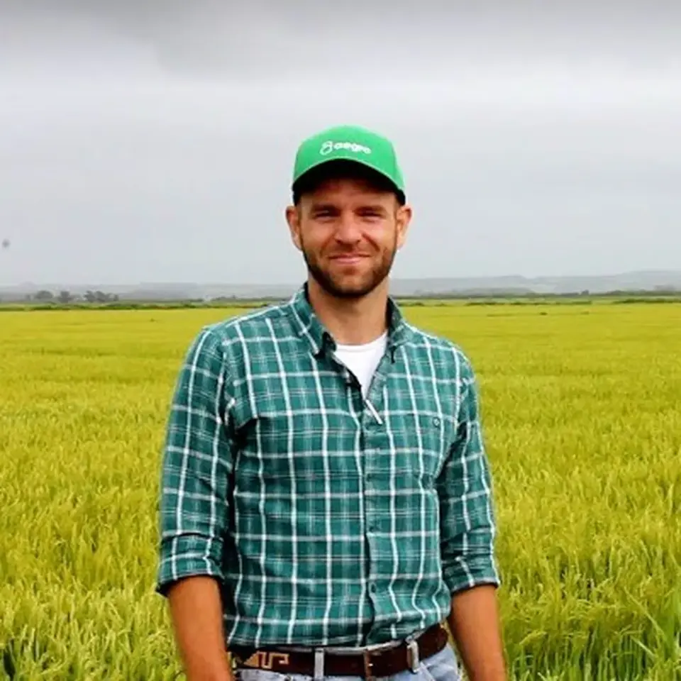 Agro brasileiro é alternativa para não ficarmos de fora da corrida da IA