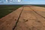Área sob alerta de desmate nas duas regiões chega a 596 km²; governo assina portaria para proteger áreas de recarga hídrica do Cerrado