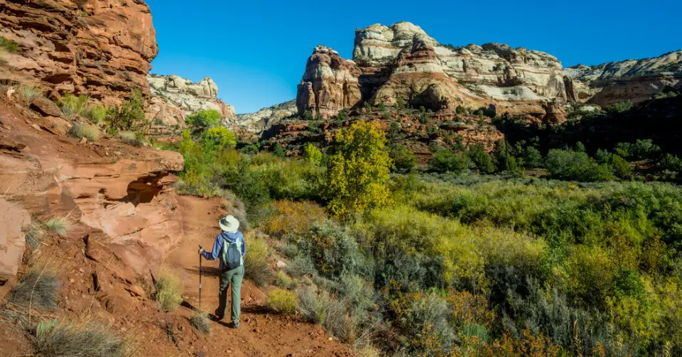 Trump reduz drasticamente o tamanho de dois monumentos nacionais em Utah