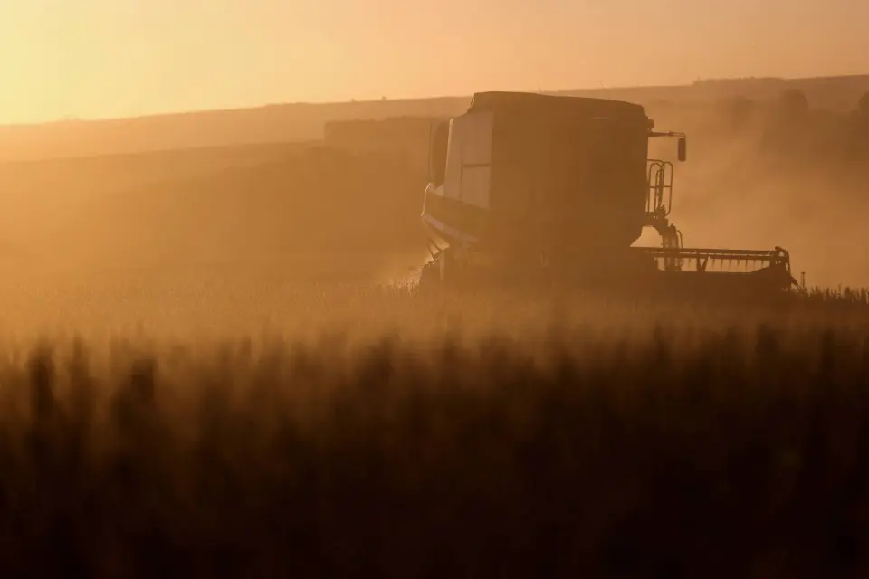Produção é recorde, mas queda de preço reduz receita no agro