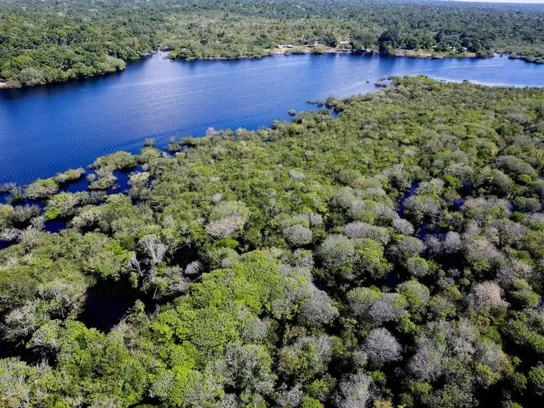 Senado aprova projeto que reduz em quase 40% a Floresta Nacional do Jamanxim, no Pará