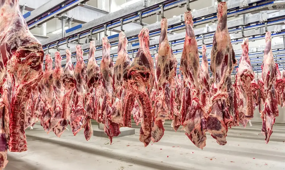 Carne brasileira escapa de tarifa dos EUA em meio à escassez de gado