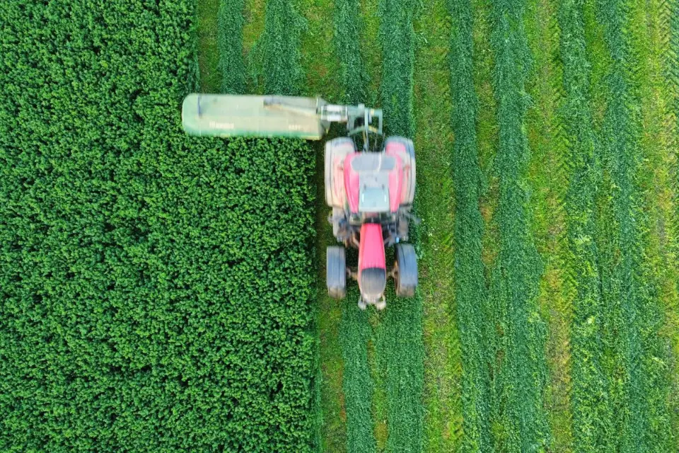 Tarifaço dos EUA vai atingir mais de 36% das exportações do agro brasileiro