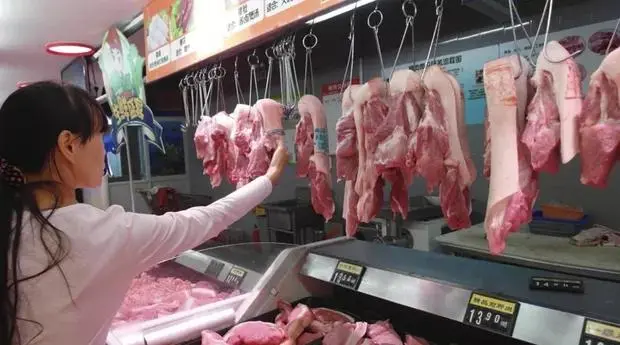 Exportações de carne bovina para a China devem cair quase pela metade em 2026