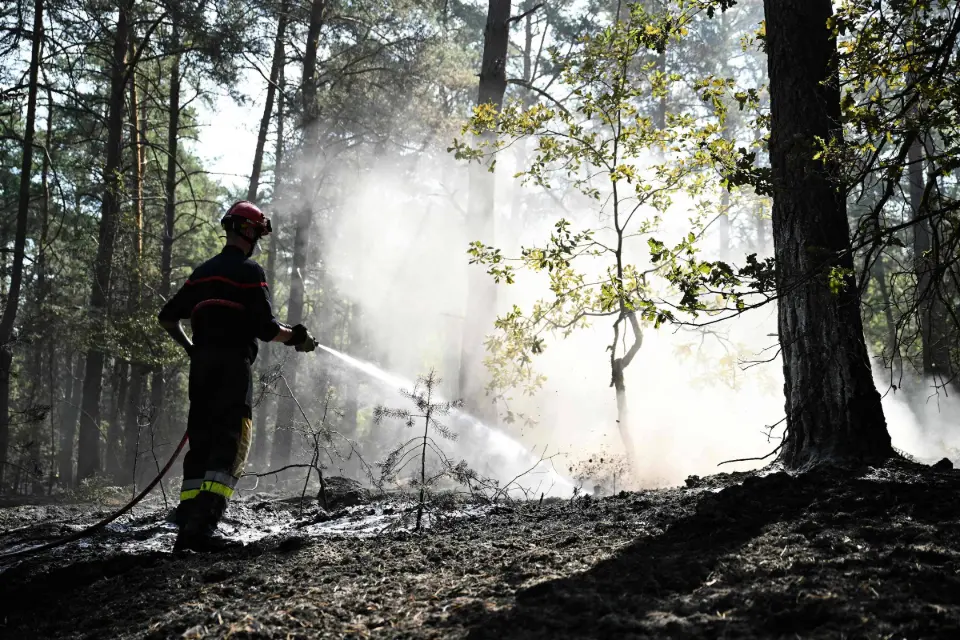 Incêndios florestais desafiam França e Espanha; Europa contabiliza estragos com onda de calor