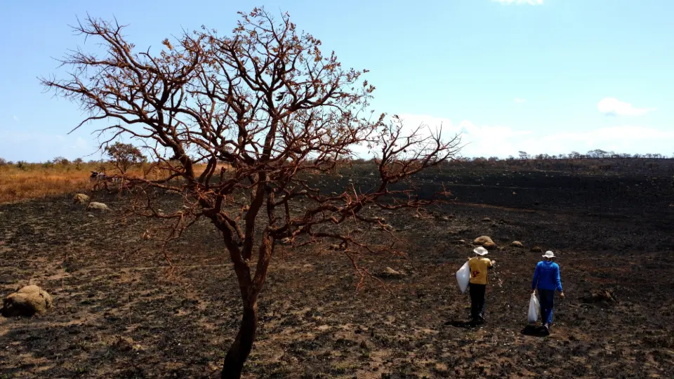 Governo anuncia pacote de R$ 1,3 bilhão para enfrentar efeitos do El Niño previsto para 2026/2027
