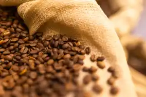 Como o calor está transformando a produção de café no Brasil?