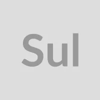 Sul 21